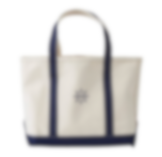 the cannes bag
